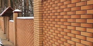 Кирпич Голицынский, соната, риф (4).jpg