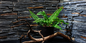 3D панели Сланец Cape Skagen Country 3