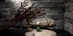 3D панели Кварцит Shimla White Natural