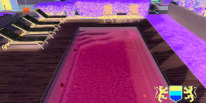 Террасная доска из ДПК Bamberg, Square, English Barnwood37