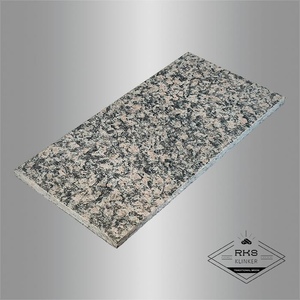 Гранитная плитка Ладожское, Polished