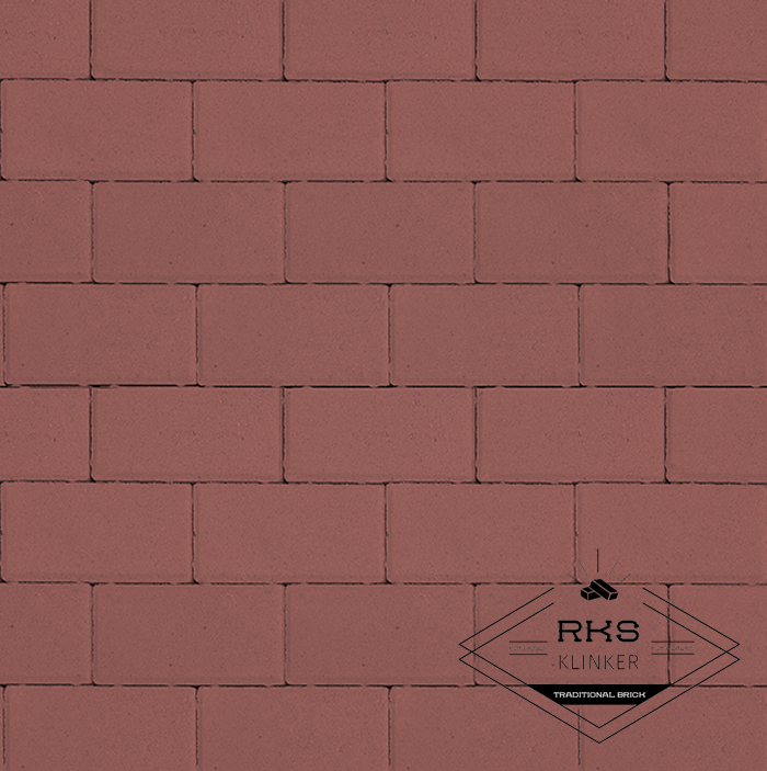 Плитка тротуарная Прямоугольник 1.П.6, Красный, 100х200х60 мм в Ростове-на-Дону